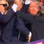 152777,trump-e-retirado-de-comicio-ferido-apos-disparos-de-tiros-33492455570934672660.